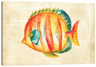 Aquarium Fish II Canvas Art Print - Chariklia Zarris