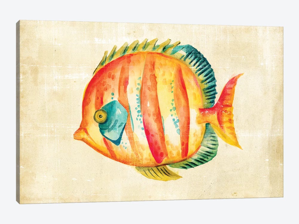 Aquarium Fish II by Chariklia Zarris 1-piece Canvas Wall Art