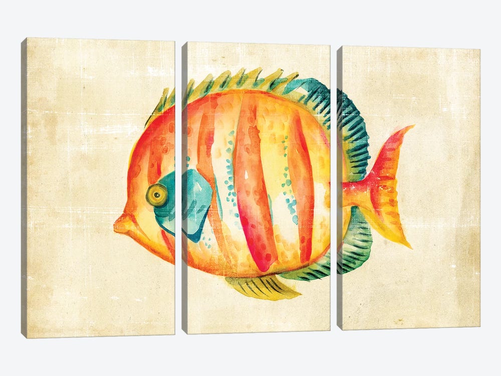 Aquarium Fish II by Chariklia Zarris 3-piece Canvas Art