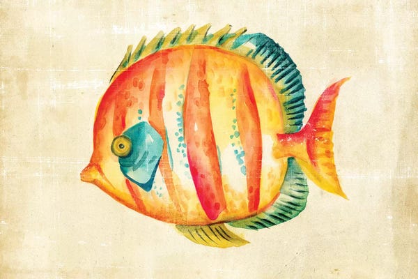 Chariklia Zarris: Aquarium Fish II by Chariklia Zarris