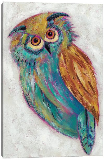 Woodland Friends III Canvas Art Print - Owl Art