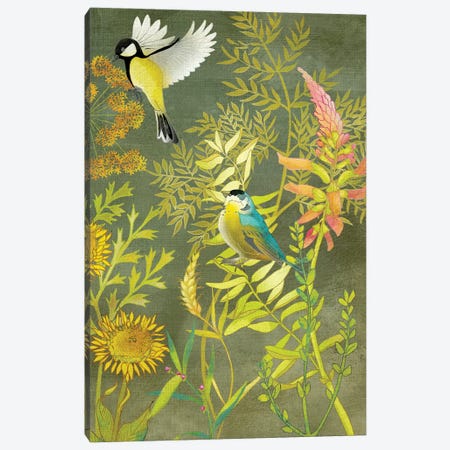 Birding I Canvas Print #ZAR146} by Chariklia Zarris Canvas Wall Art
