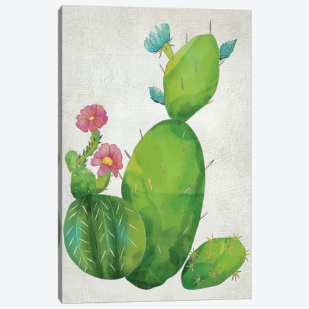 Cacti Collection I Canvas Print #ZAR148} by Chariklia Zarris Canvas Art Print