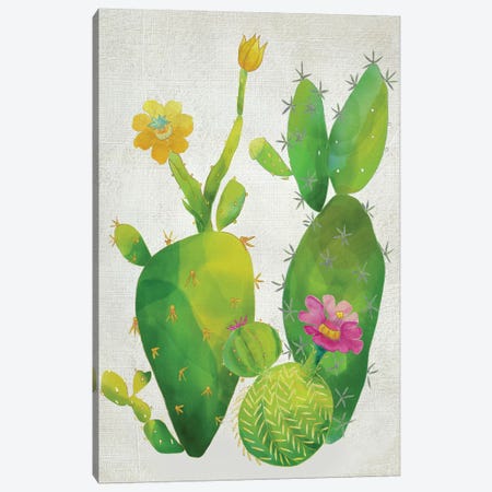 Cacti Collection II Canvas Print #ZAR149} by Chariklia Zarris Canvas Print