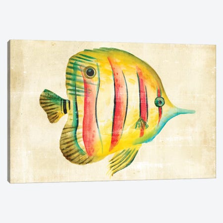 Aquarium Fish III Canvas Print #ZAR14} by Chariklia Zarris Art Print