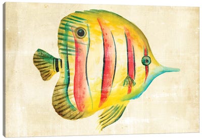 Aquarium Fish III Canvas Art Print - Chariklia Zarris