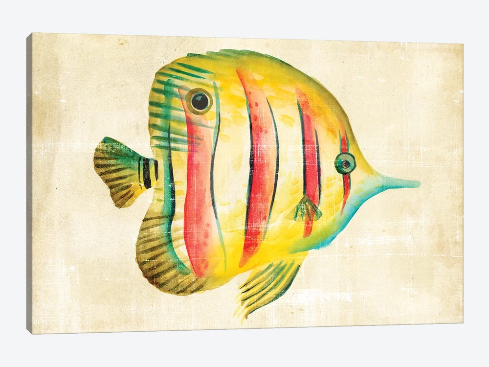 Aquarium Fish III by Chariklia Zarris 1-piece Canvas Print