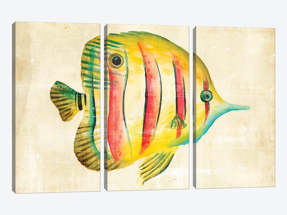 Aquarium Fish III 3-piece Canvas Print
