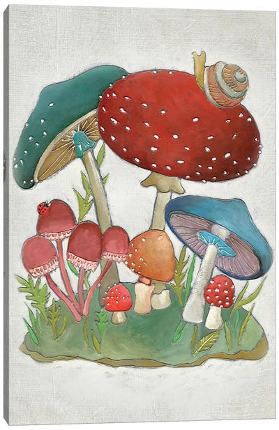 Mushroom Collection I Canvas Art Print