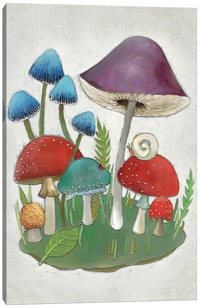 Mushroom Collection II Canvas Art Print - Mushroom Art