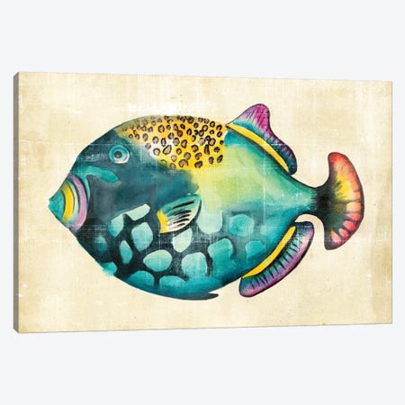 Aquarium Fish IV Canvas Print #ZAR15} by Chariklia Zarris Art Print