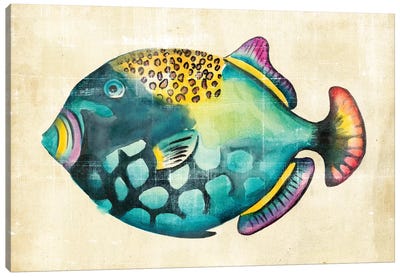 Aquarium Fish IV Canvas Art Print