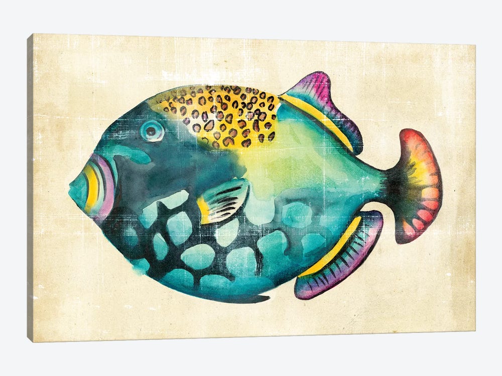 Aquarium Fish IV by Chariklia Zarris 1-piece Canvas Artwork