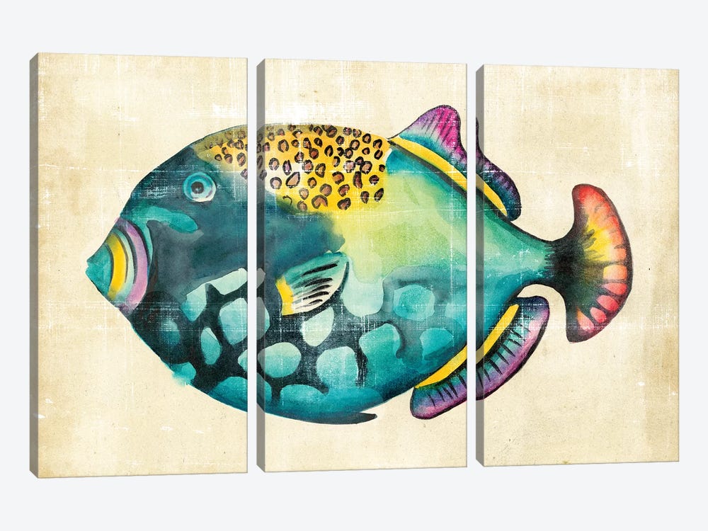 Aquarium Fish IV by Chariklia Zarris 3-piece Canvas Wall Art