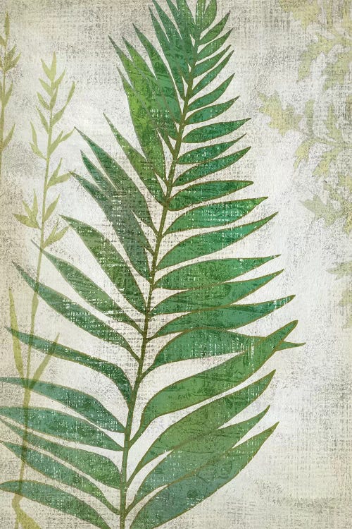 Frond I by Chariklia Zarris wall art