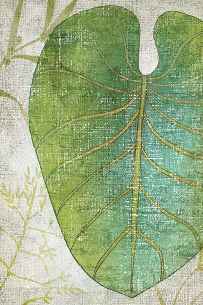 Chariklia Zarris: Frond IV by Chariklia Zarris