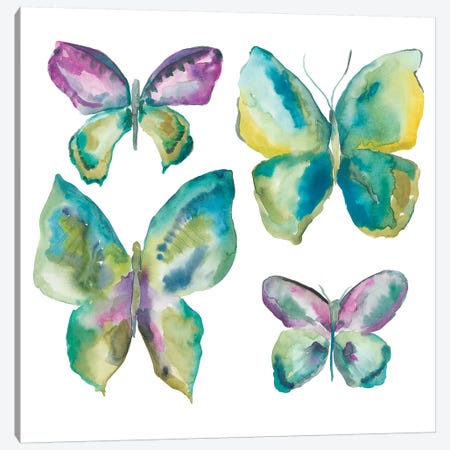Jeweled Butterflies I Canvas Print #ZAR196} by Chariklia Zarris Canvas Art Print