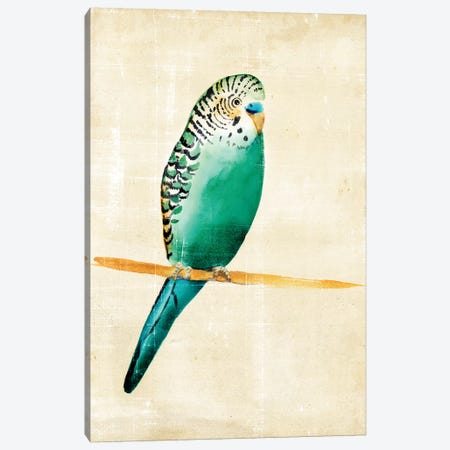 Fanciful Birds II Canvas Print #ZAR24} by Chariklia Zarris Canvas Wall Art