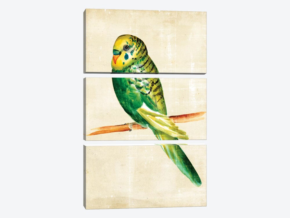 Fanciful Birds III 3-piece Canvas Print