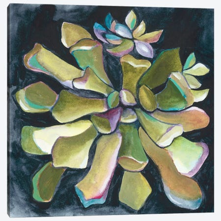 Succulent Rosette I Canvas Print #ZAR330} by Chariklia Zarris Canvas Art