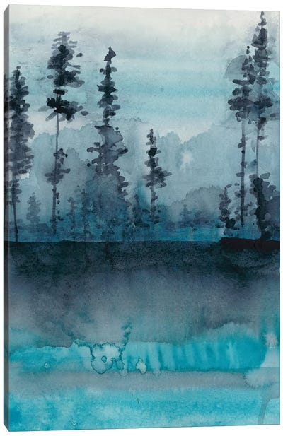 Winter Woods II Canvas Art Print - Chariklia Zarris