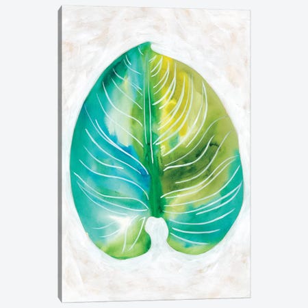 Ocean Side Palms I Canvas Print #ZAR375} by Chariklia Zarris Canvas Print