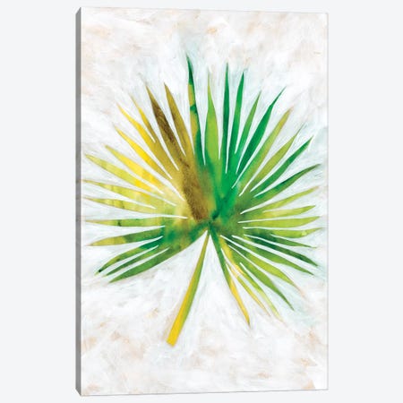 Ocean Side Palms II Canvas Print #ZAR376} by Chariklia Zarris Canvas Art Print