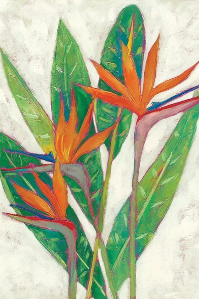 Birds Of Paradise: Paradise Vacation I by Chariklia Zarris