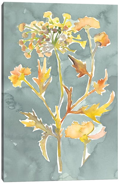 Collected Florals I Canvas Art Print