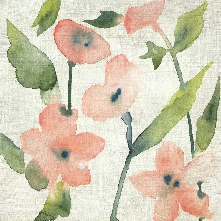 Blush Pink Blooms I by Chariklia Zarris wall art