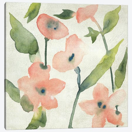 Blush Pink Blooms I Canvas Print #ZAR676} by Chariklia Zarris Canvas Art
