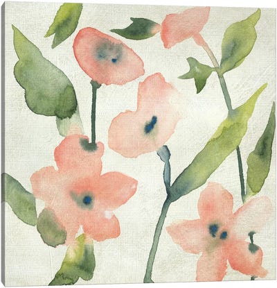 Blush Pink Blooms I Canvas Art Print - Chariklia Zarris