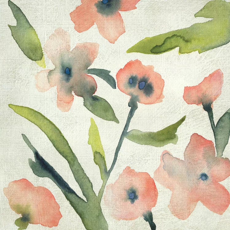 Blush Pink Blooms II by Chariklia Zarris wall art