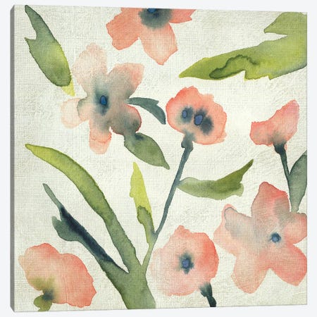 Blush Pink Blooms II Canvas Print #ZAR677} by Chariklia Zarris Canvas Art