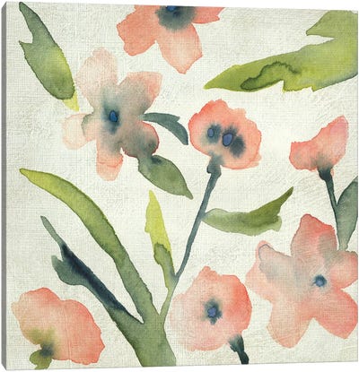 Blush Pink Blooms II Canvas Art Print - Chariklia Zarris