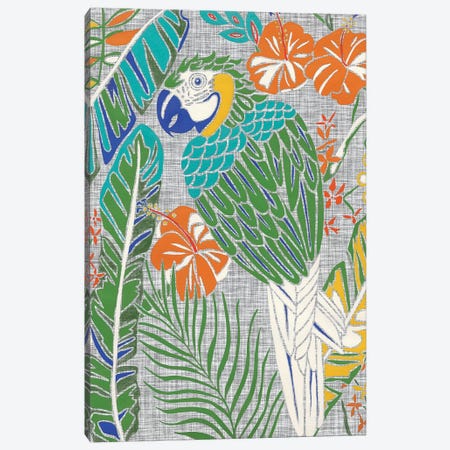 Tropical Macaw Canvas Print #ZAR691} by Chariklia Zarris Canvas Print