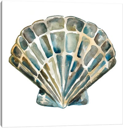 Aquarelle Shells IV Canvas Art Print - Chariklia Zarris