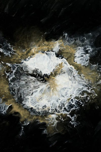 Dive by Zelda Crane canvas print