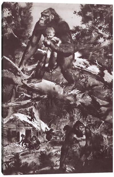 Tarzan of the Apes®, Chapter IV Canvas Art Print - Gorilla Art