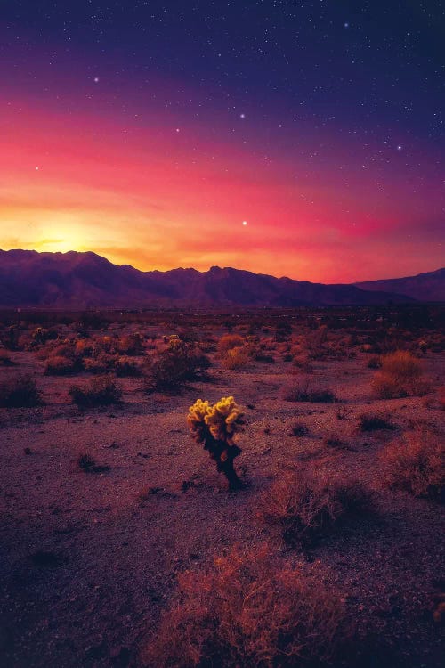 Stand Out by Zach Doehler wall art