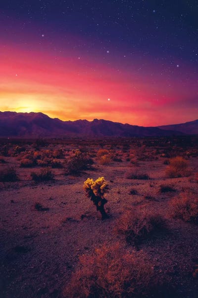 Indigo: Stand Out by Zach Doehler