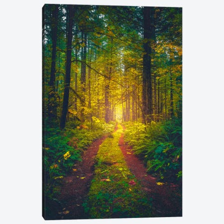 The Forest Of Dreams Canvas Print #ZDO22} by Zach Doehler Canvas Wall Art