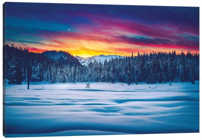Winter Wonderland Canvas Art Print - Hyperreal Landscape Photography