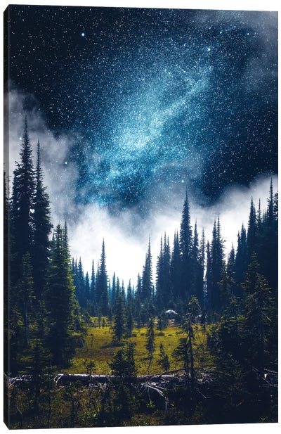 Alpine Dreamland Canvas Art Print - Night Sky Art