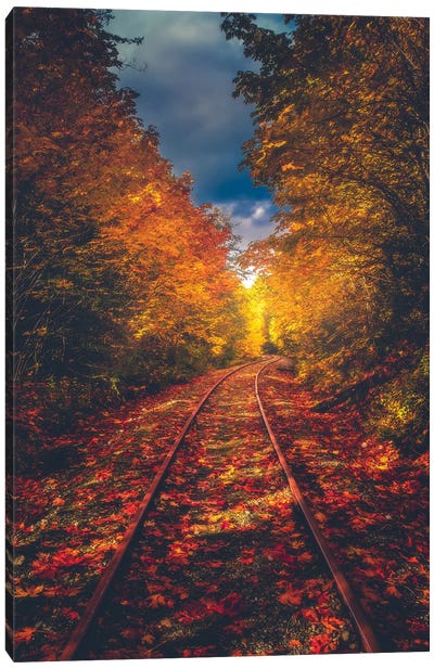 Autumn On The Railroad Canvas Art Print - Trail, Path & Road Art
