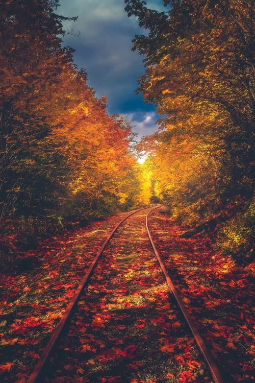 Autumn On The Railroad by Zach Doehler wall art