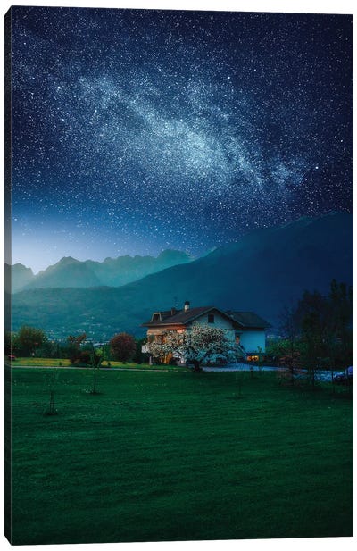 Countryside Cosmos Canvas Art Print - Hyperreal Landscape Photography