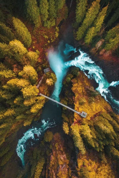 Evergreen Trees: Flying Over The Falls by Zach Doehler