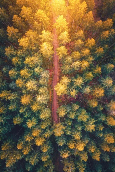 Aerial Photography: Hidden Pathways by Zach Doehler