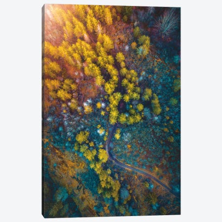 Into The Forest Canvas Print #ZDO61} by Zach Doehler Canvas Artwork